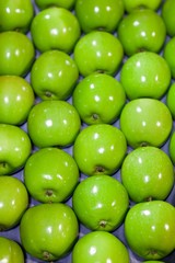 Granny Smith Apples being packed in a warehouse