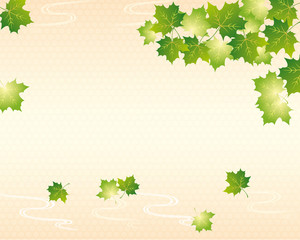 spring leaves background