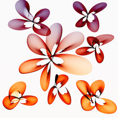Abstract flowers