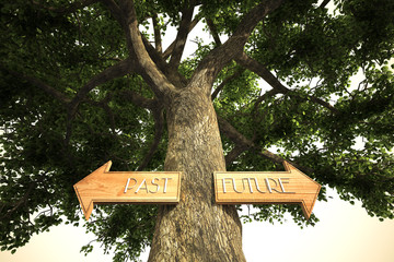environment past future tree sign