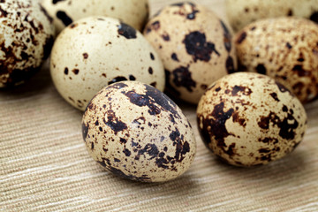 quail eggs