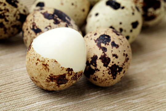 Group of quail eggs