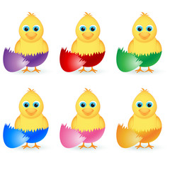 Chicken hatching out from colorful eggs.