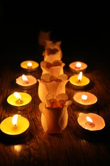 Candles and buds of roses