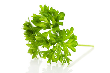 Macro of fresh parsley