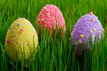 Colorful Easter eggs in the grass