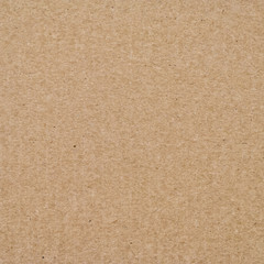 Brown Cardboard Texture