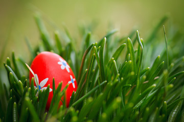 red easter egg in grass