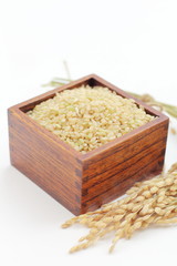 日本産米（玄米）