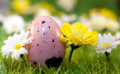 oeufs rose sucrerie de pâques