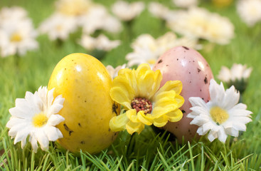 oeuf jaune et rose fête de pâques