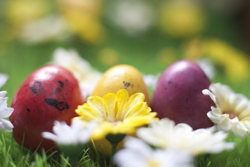 oeufs de pâques colorés