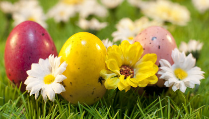 oeufs de couleurs vives fleuris