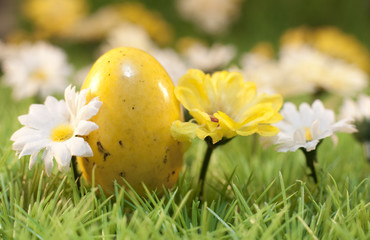 petit oeuf jaune et fleurs de printemps
