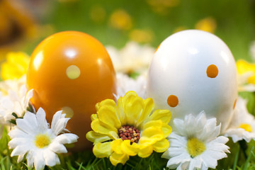 oeufs de pâques jaune et blanc