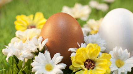 Obraz na płótnie Canvas Jaja na łóżku żółte kwiaty i białe