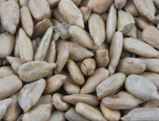 sunflower seed texture