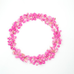 pink flowers circle frame