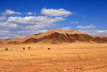 paysage du Damaraland 29