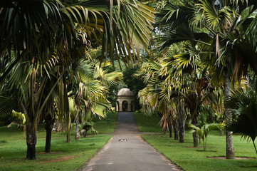 Peradeniya botanic gardens 04