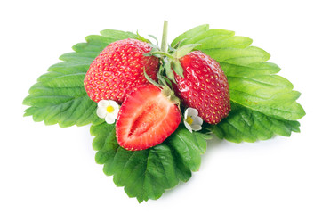 Fresh strawberry