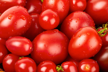 Frische Tomaten mit Wassteropfen bedeckt