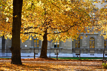 Foglie e colori in autunno