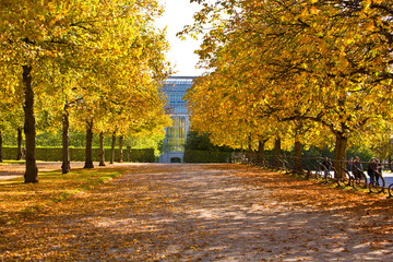 Naklejka premium Foglie e colori in autunno