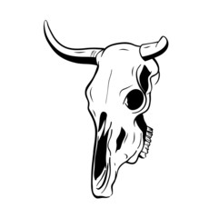 animal skull