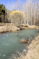 Rio helado (Cañon del RIo Lobos,Soria)
