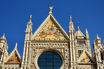 Fototapeta premium Siena