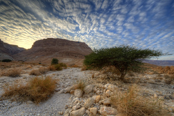 Masada in Israel
