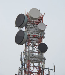 trellis with antenna for the repetition of mobile  signals