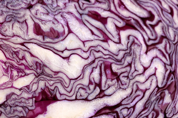 Red cabbage slice close-up isolated on white