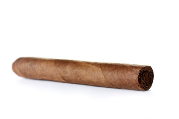 cigar isolated on white