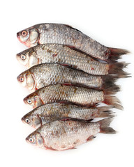 Fresh fishes isolated on white