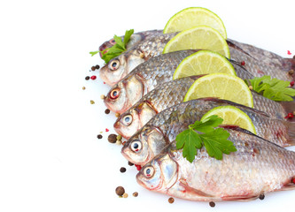 Fresh fishes with lime, parsley and spice isolated on white