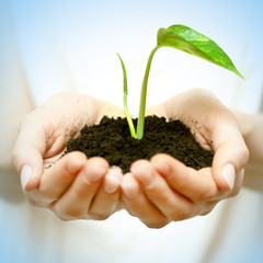 new life