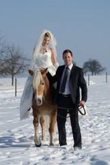 Brautpaar mit Pferd im Winter