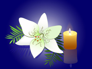 Flower of a white lily and burning candle.