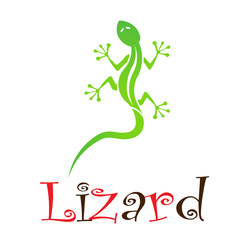 Lizard