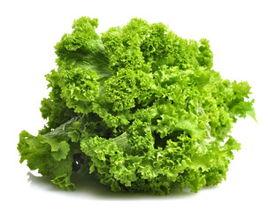 Obraz premium Mustard Green Leaves