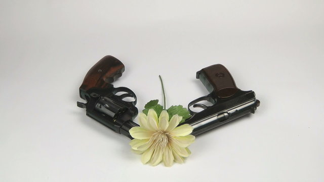 A hand puts a flower on the two pistols