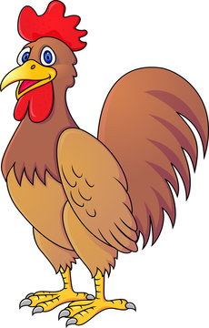 Rooster Cartoon