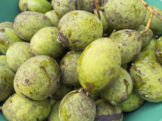 Horse Mango Fruits