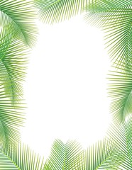 Naklejka premium Leaves of palm tree on white
