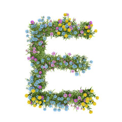 Letter E, flower alphabet isolated on white
