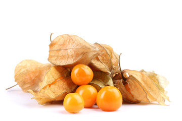 Physalis heap isolated on white