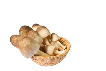 Mushroom in a basket