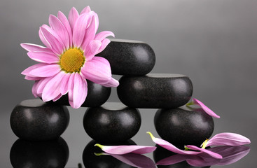 Obraz na płótnie Canvas Spa stones and flower on grey background